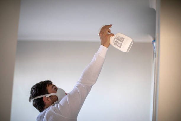 Best Residential Mold Remediation in Nolanville, TX